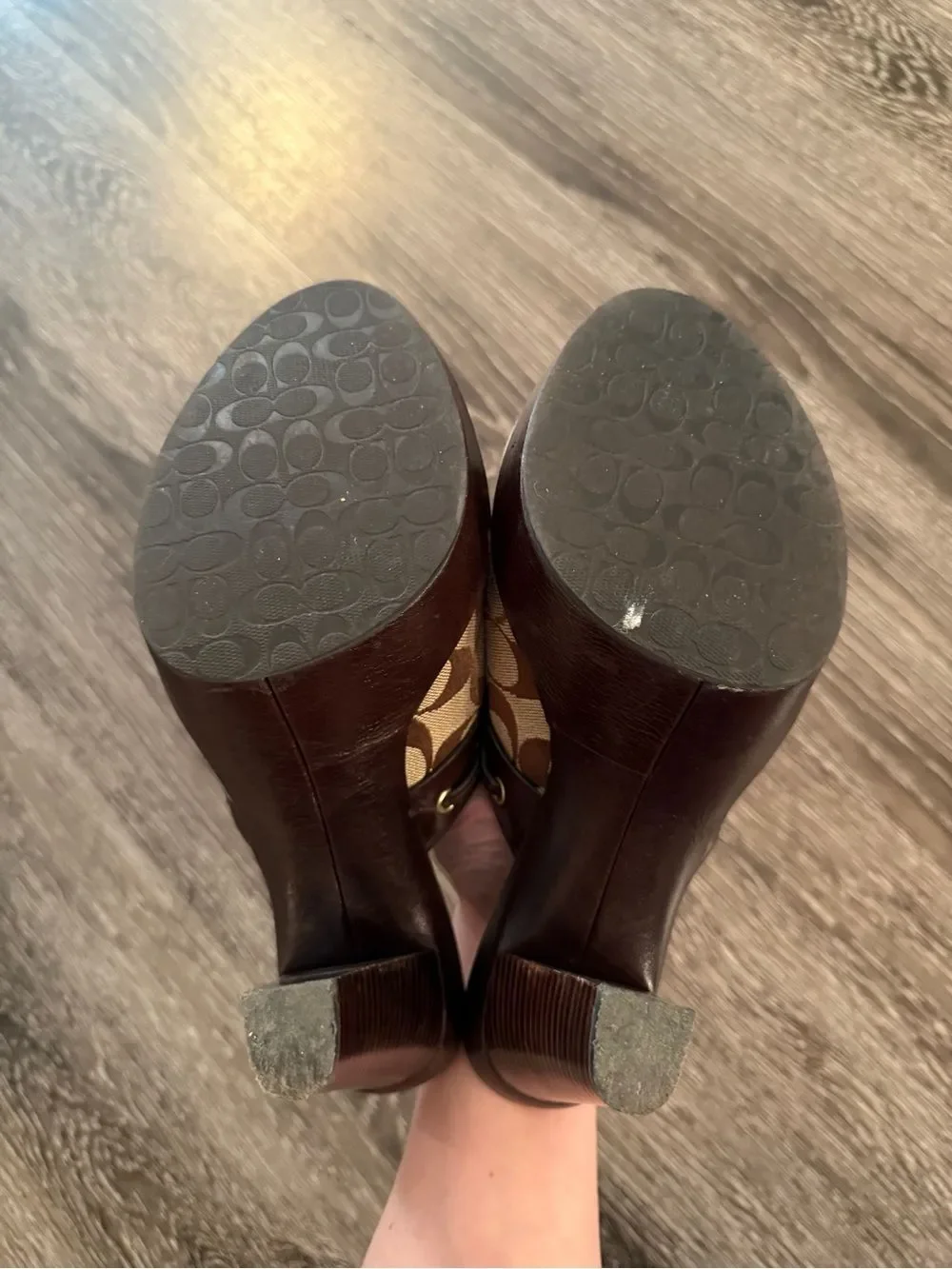 Coach Jodey Sig Heeled Mules